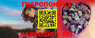 apvp Рыбинск