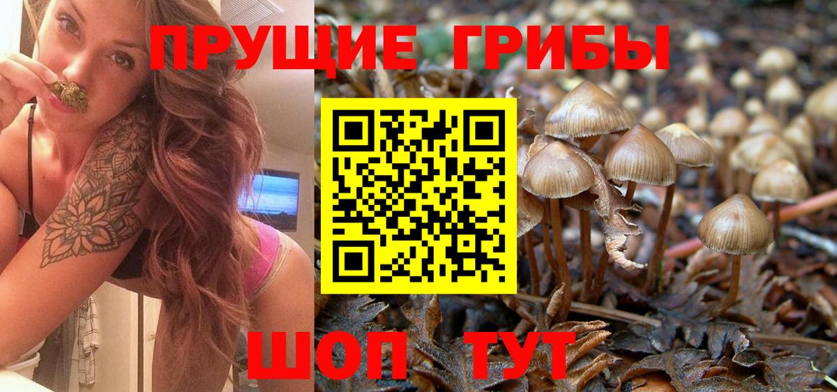 Галлюциногенные грибы ЛСД Подольск