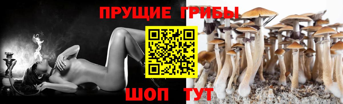 Псилоцибиновые грибы ЛСД  Псилоцибиновые грибы Psilocybe  Подольск  Вход с VPN 